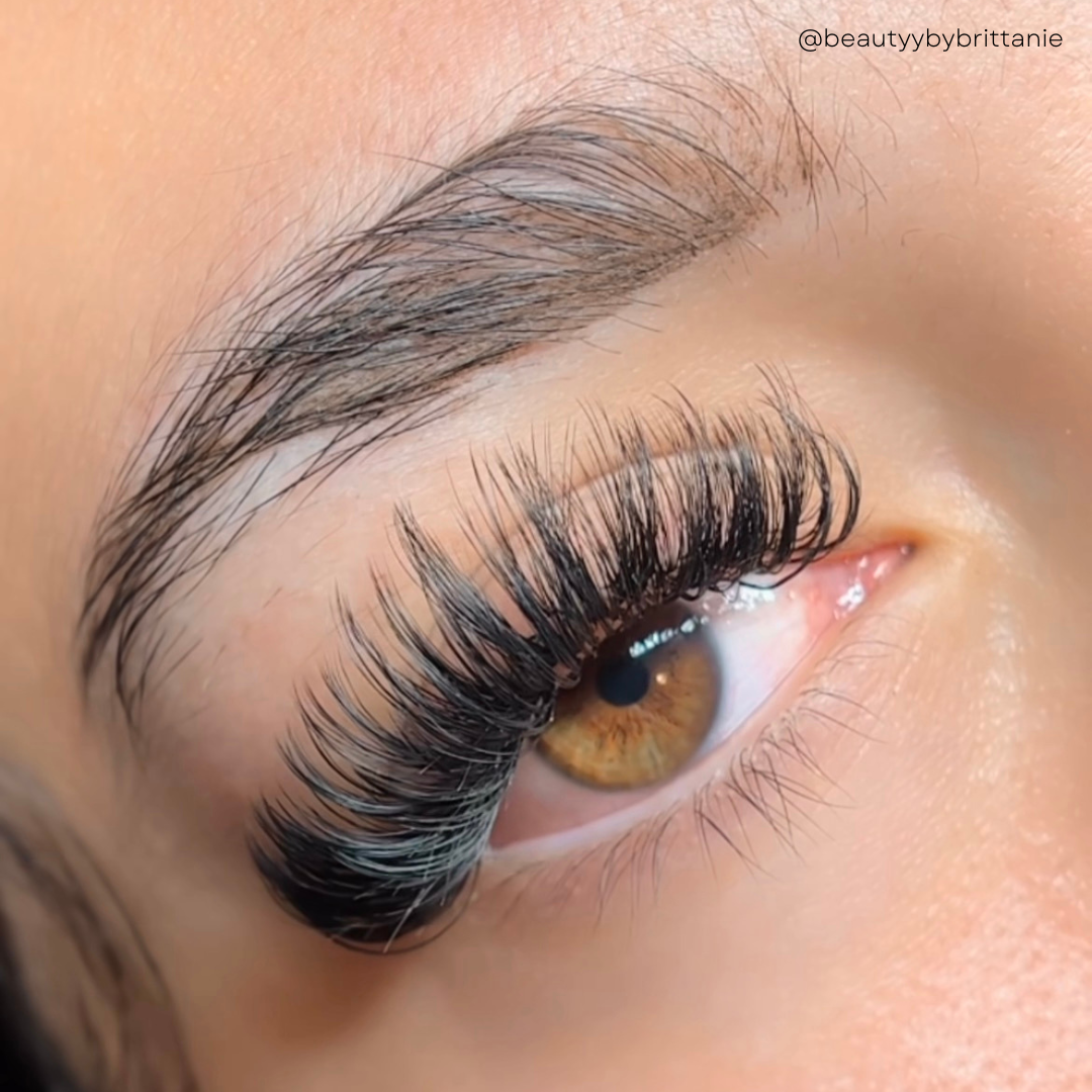 0.05 ROYAL MINK lash trays π