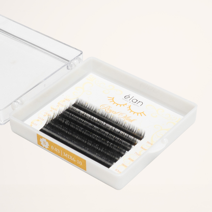 BOTTOM LASHES mini tray