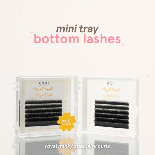 BOTTOM LASHES mini tray