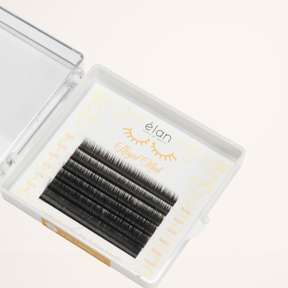 BOTTOM LASHES mini tray
