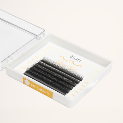 BOTTOM LASHES mini tray