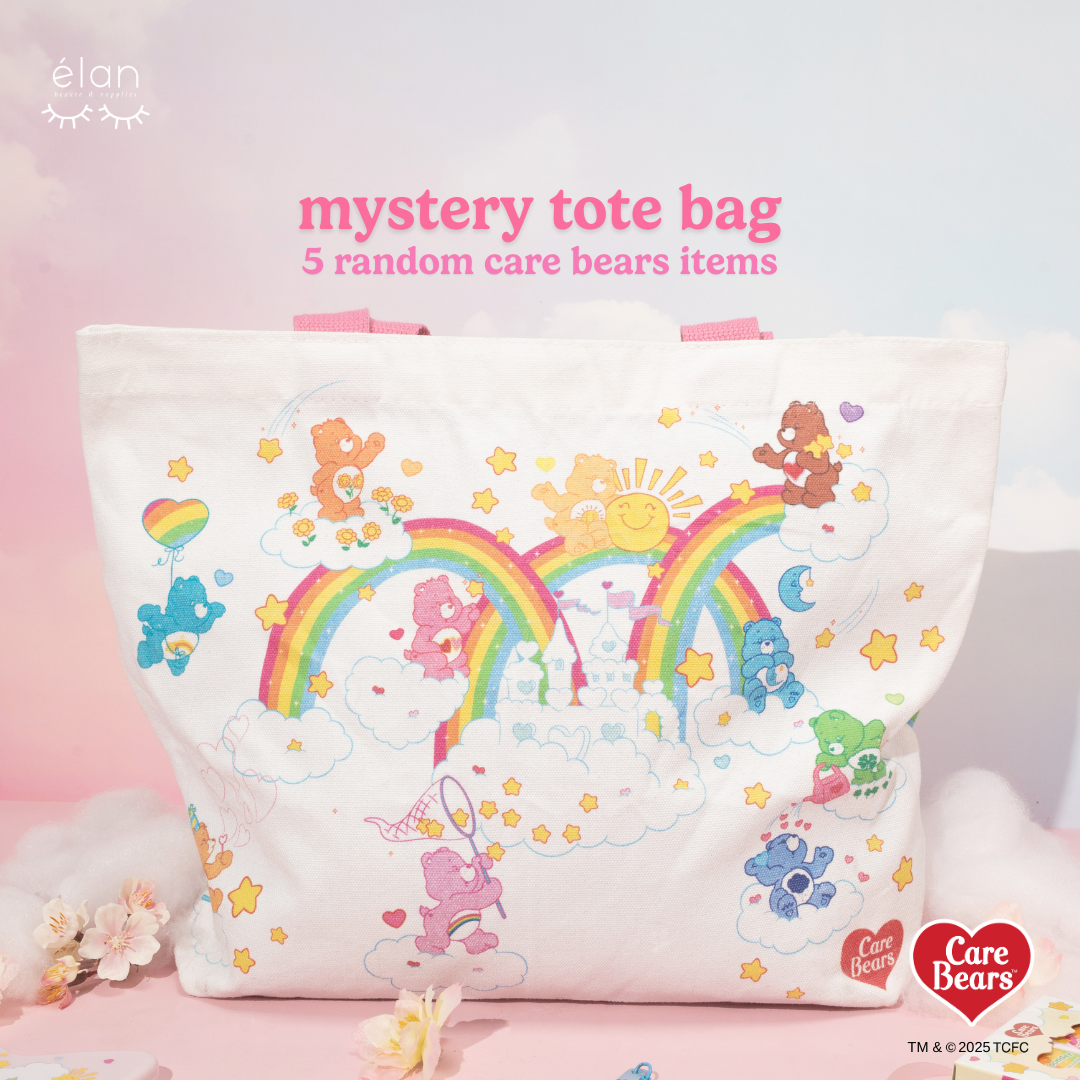 CARE BEARS mystery tote bag