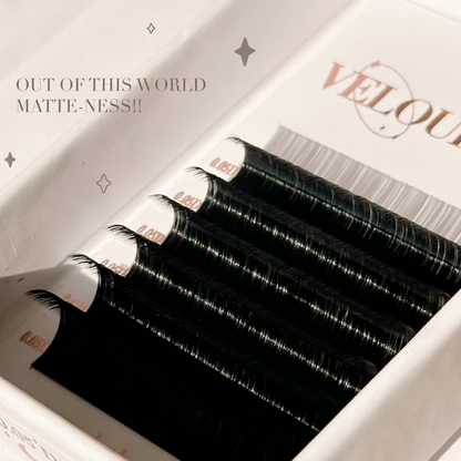 0.03 VELOUR MINK lash trays (MATTE & BOLD) ✨