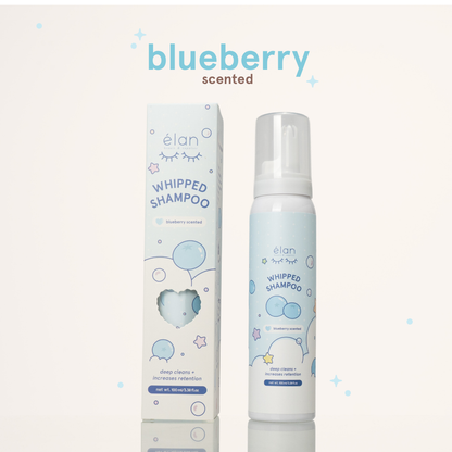 whipped lash shampoo