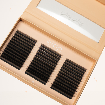 XL special YY lashes
