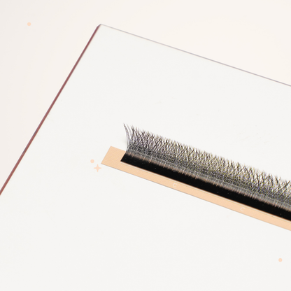 XL special YY lashes
