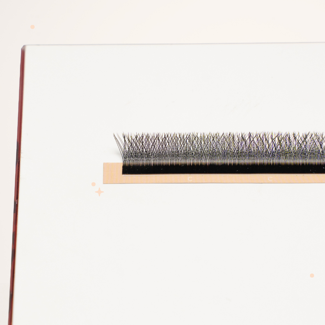 XL special YY lashes