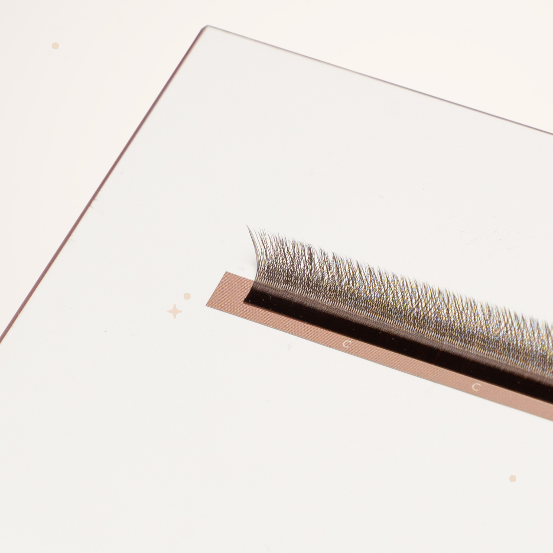 XL special YY lashes