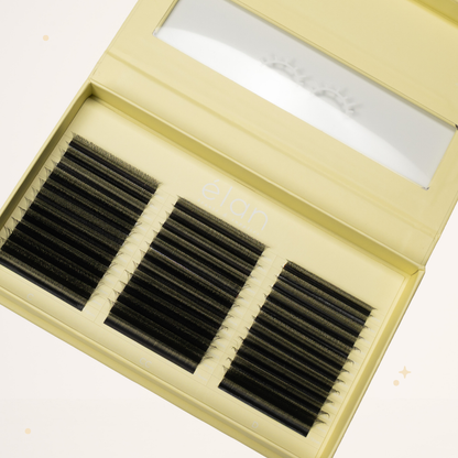 XL special YY lashes