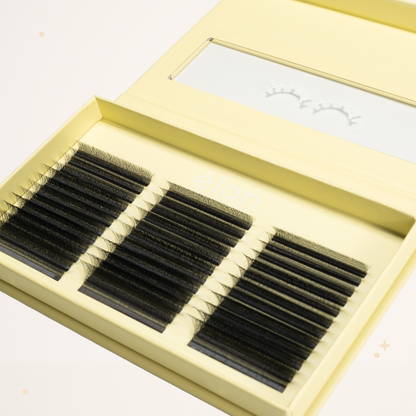 XL special YY lashes