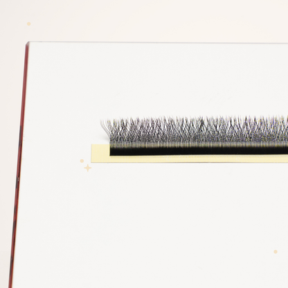 XL special YY lashes