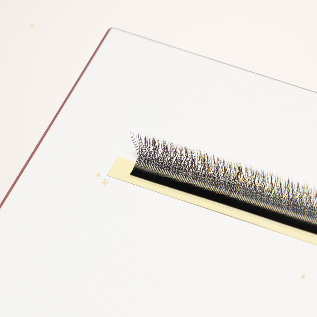 XL special YY lashes