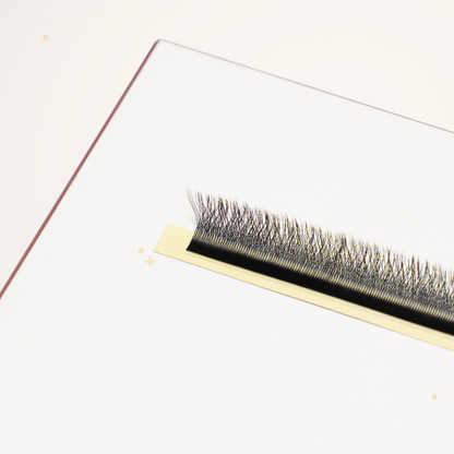 XL special YY lashes
