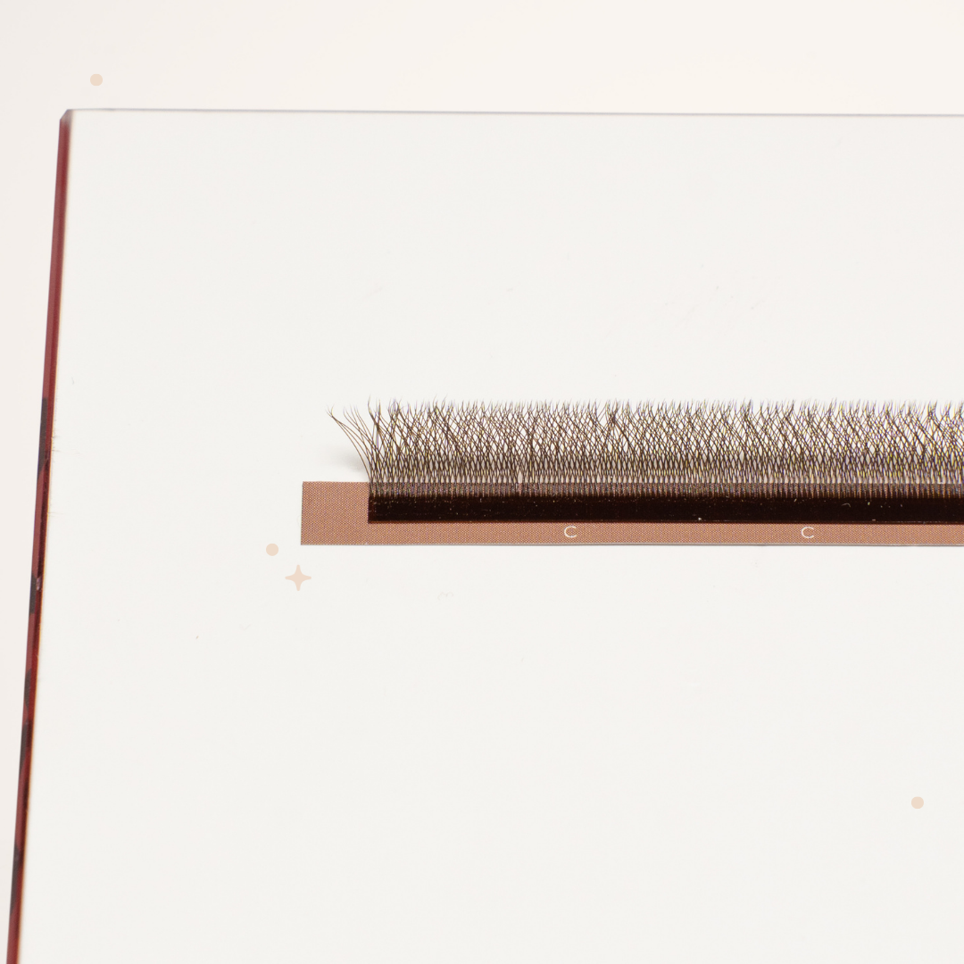 XL special YY lashes