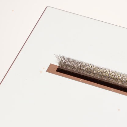 XL special YY lashes