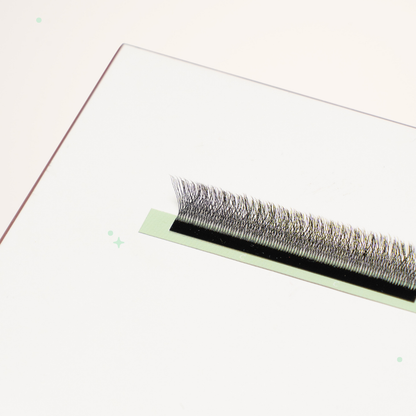 XL special YY lashes