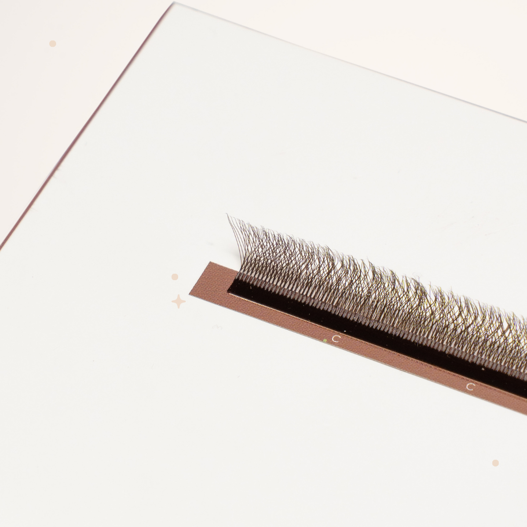 XL special YY lashes