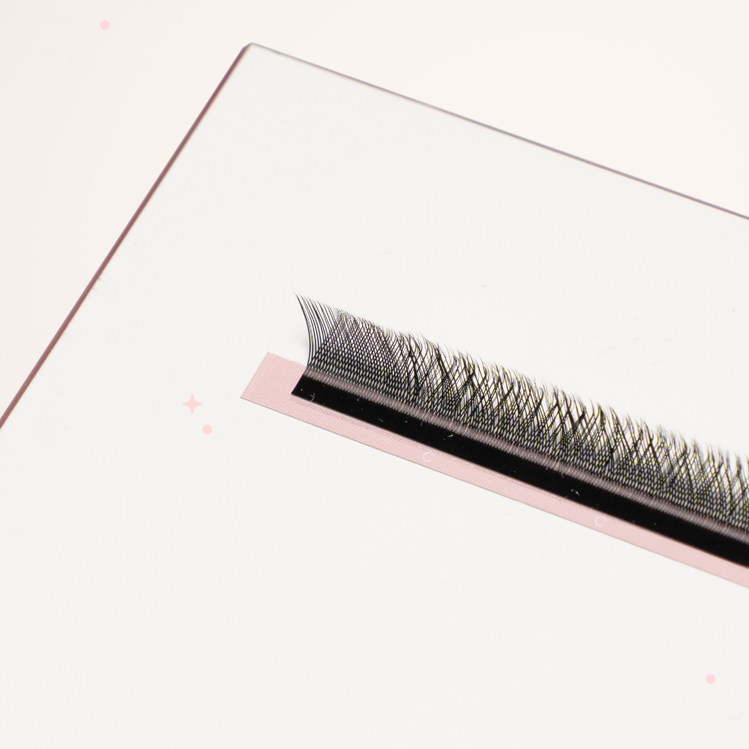 XL special YY lashes