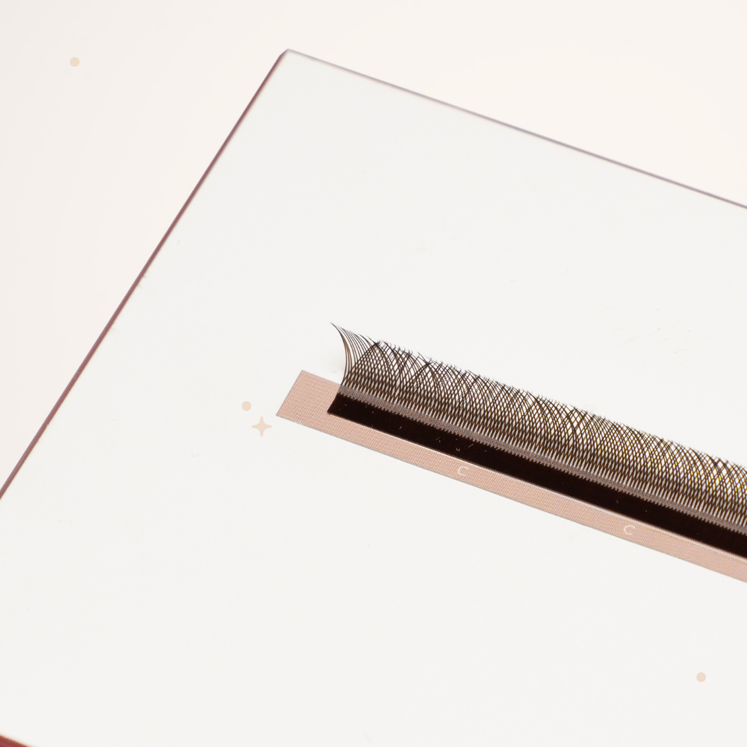 XL special YY lashes